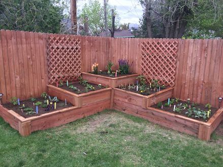 Garden projects