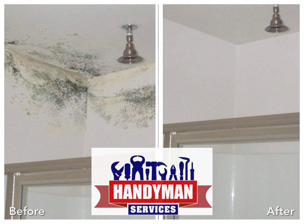 Handyman in Essex shed building Mould Removal